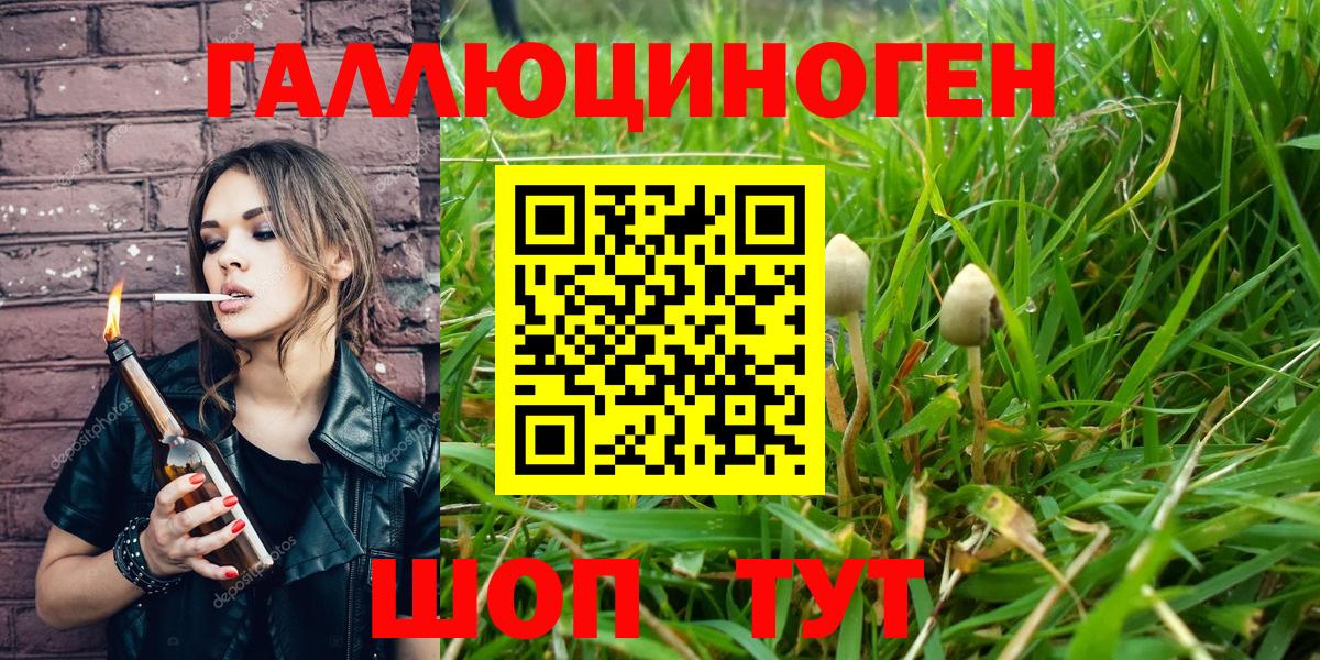 Псилоцибиновые грибы Psilocybine cubensis Салехард